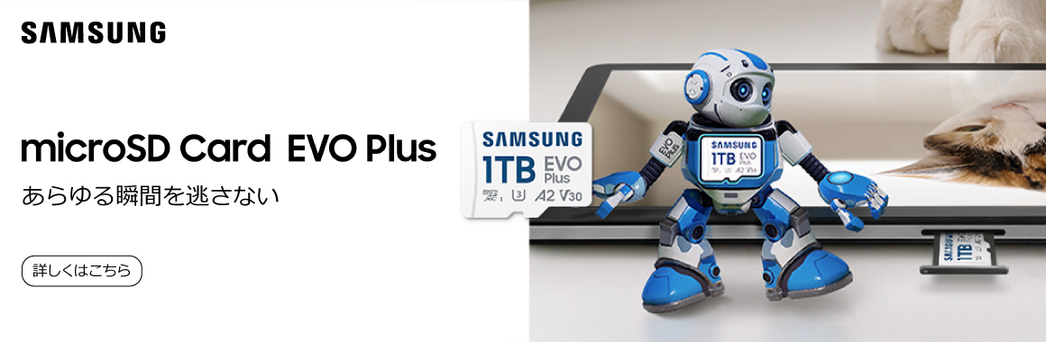 microSD EVO Plus 2024